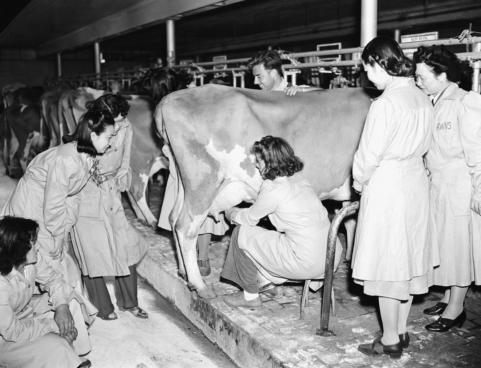 WWII: U.S. Defense: Women Farmers